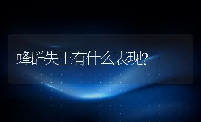 蜂群失王有什么表现？ | 动物养殖百科