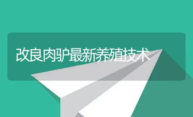 改良肉驴最新养殖技术 | 动物养殖教程