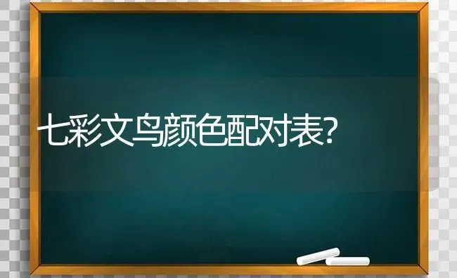 我的边牧白毛太少了怎么办？ | 动物养殖问答