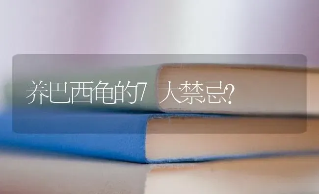 六个月比熊狗狗4斤正常吗？ | 动物养殖问答