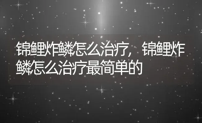 锦鲤炸鳞怎么治疗,锦鲤炸鳞怎么治疗最简单的 | 宠物百科知识