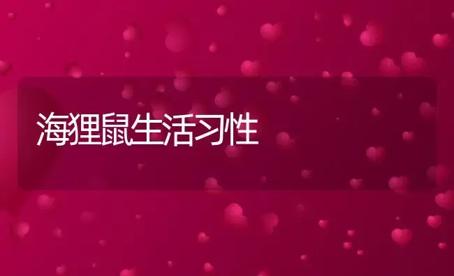 海狸鼠生活习性 | 动物养殖教程