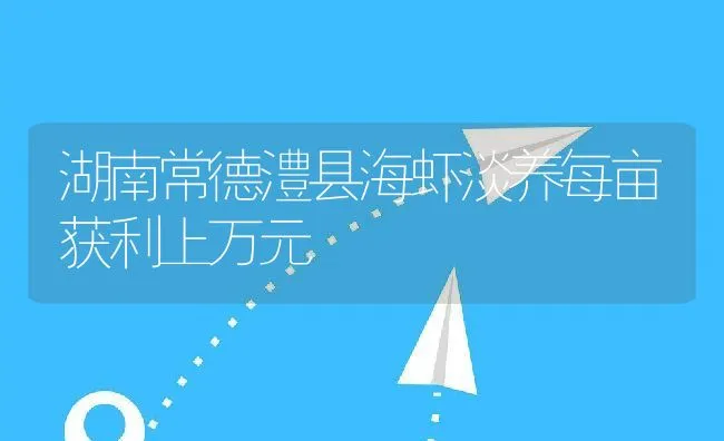 湖南常德澧县海虾淡养每亩获利上万元 | 动物养殖饲料