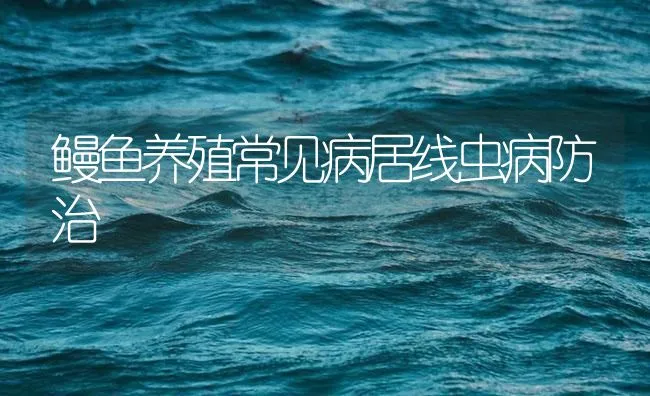 鳗鱼养殖常见病居线虫病防治 | 海水养殖技术