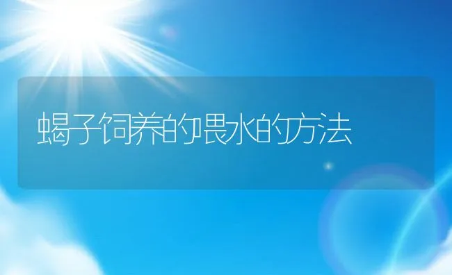 肉鸡生产中的主要疾病 | 动物养殖学堂