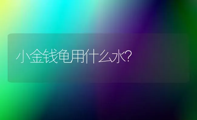 谁知道哈士奇是那个地方的？ | 动物养殖问答