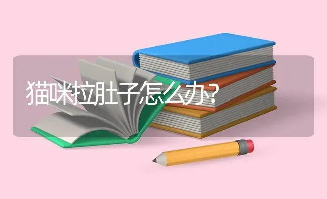 恶霸犬一天拉几次？ | 动物养殖问答