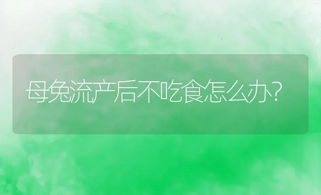 母兔流产后不吃食怎么办？ | 水产养殖知识