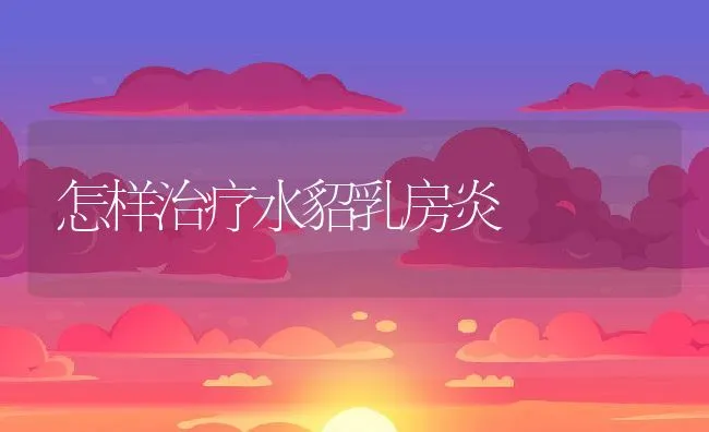 南美白虾苗三大疾病防治方法 | 海水养殖技术