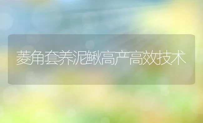 菱角套养泥鳅高产高效技术 | 动物养殖学堂