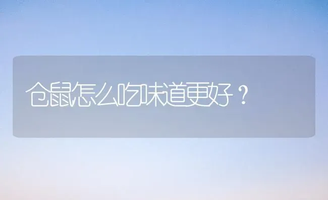 仓鼠怎么吃味道更好？ | 动物养殖问答