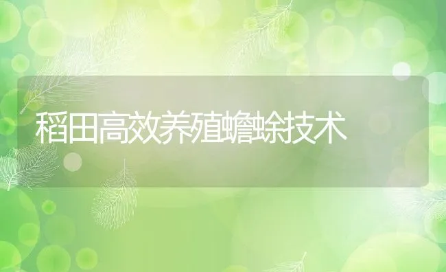 稻田高效养殖蟾蜍技术 | 水产养殖知识