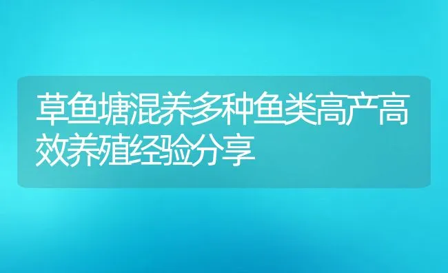 草鱼塘混养多种鱼类高产高效养殖经验分享 | 动物养殖饲料