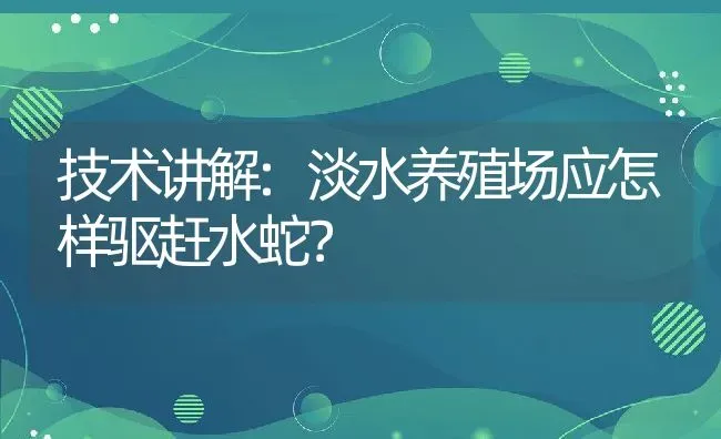 技术讲解:淡水养殖场应怎样驱赶水蛇？ | 动物养殖百科