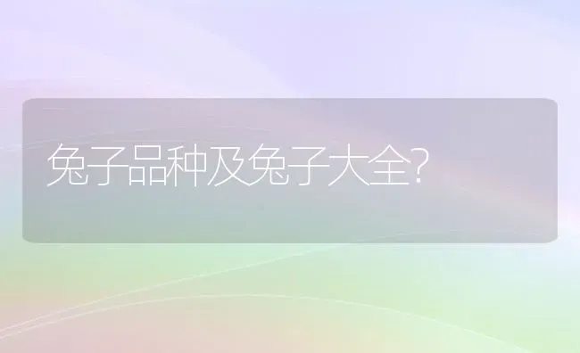 中国的巴西龟是产自于哪？ | 动物养殖问答