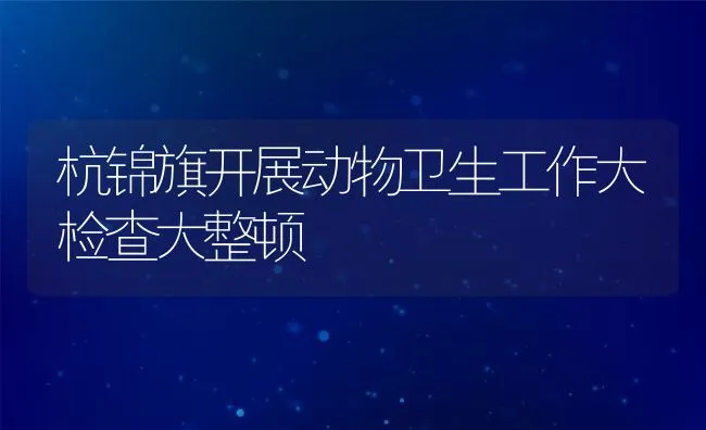 杭锦旗开展动物卫生工作大检查大整顿 | 动物养殖饲料