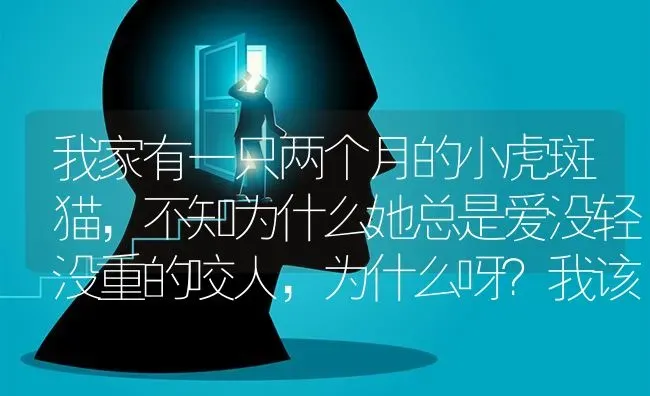 我家有一只两个月的小虎斑猫，不知为什么她总是爱没轻没重的咬人，为什么呀？我该怎么办呀？ | 动物养殖问答