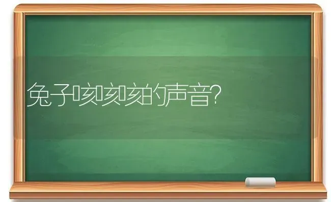 兔子咳咳咳的声音？ | 动物养殖问答