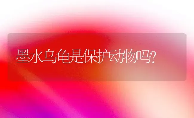 我家养狗狗，德牧，小公狗，起什么名字好呢？ | 动物养殖问答