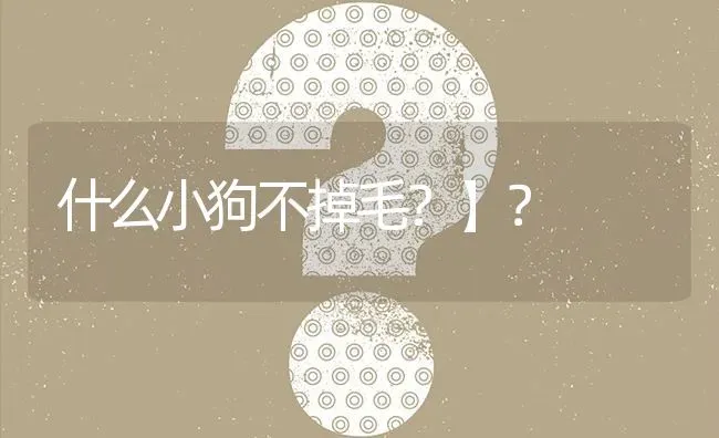 什么小狗不掉毛？】？ | 动物养殖问答