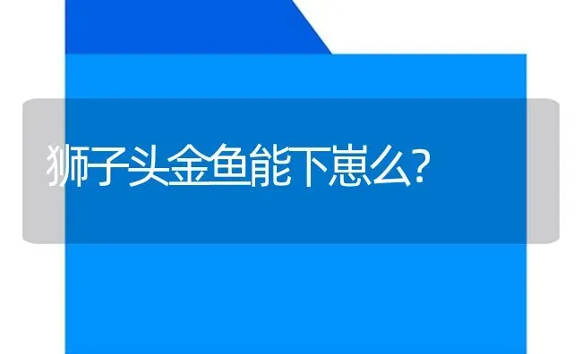 狮子头金鱼能下崽么？ | 鱼类宠物饲养