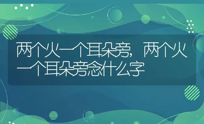 两个火一个耳朵旁,两个火一个耳朵旁念什么字 | 宠物百科知识