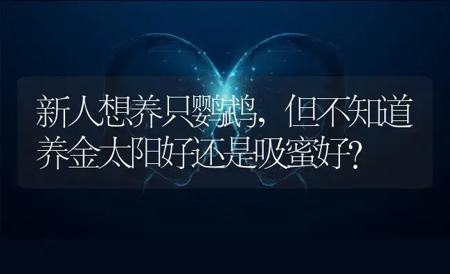 中国出名的志愿者名字？ | 动物养殖问答