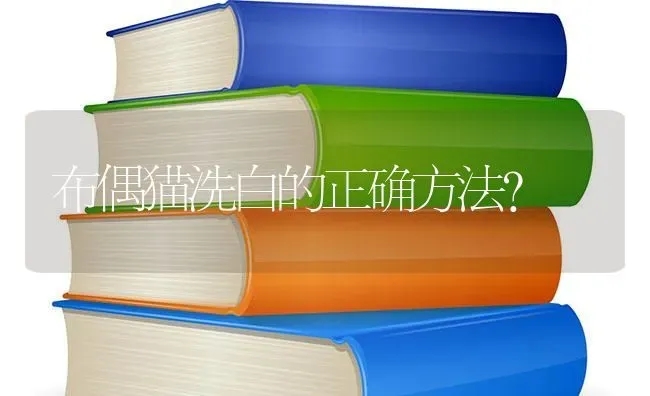 布偶猫洗白的正确方法？ | 动物养殖问答