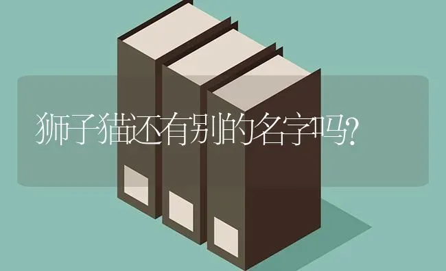 狮子猫还有别的名字吗？ | 动物养殖问答