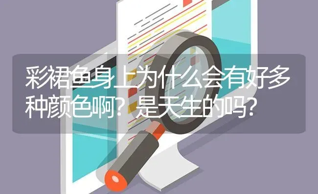 彩裙鱼身上为什么会有好多种颜色啊？是天生的吗？ | 鱼类宠物饲养