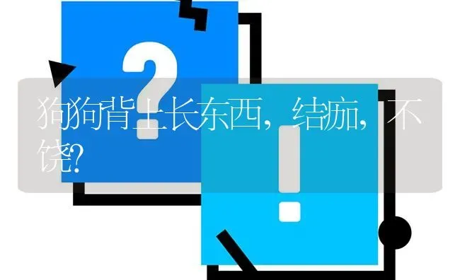 狗狗背上长东西，结痂，不饶？ | 动物养殖问答