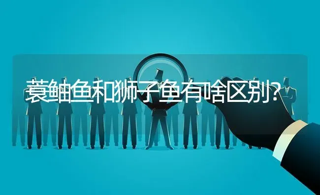 蓑鲉鱼和狮子鱼有啥区别？ | 鱼类宠物饲养