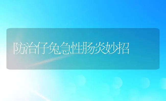 粗毛型长毛兔的饲养技术 | 动物养殖学堂