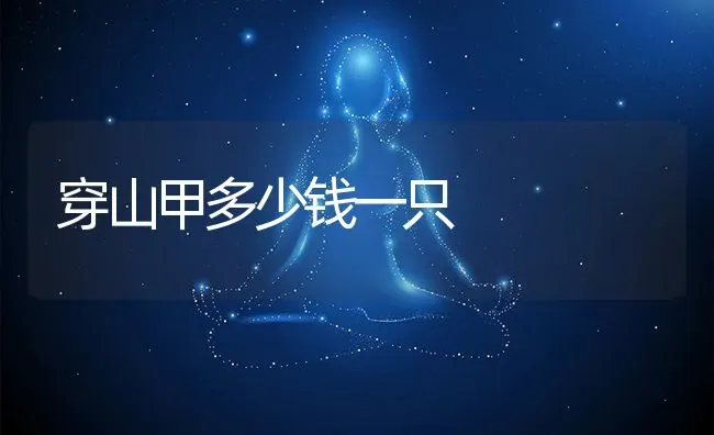 穿山甲多少钱一只 | 动物养殖百科