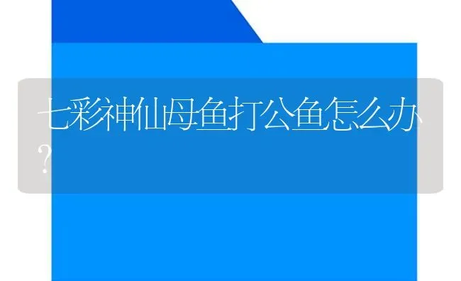 七彩神仙母鱼打公鱼怎么办？ | 鱼类宠物饲养