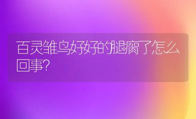 百灵雏鸟好好的腿瘸了怎么回事？ | 动物养殖问答