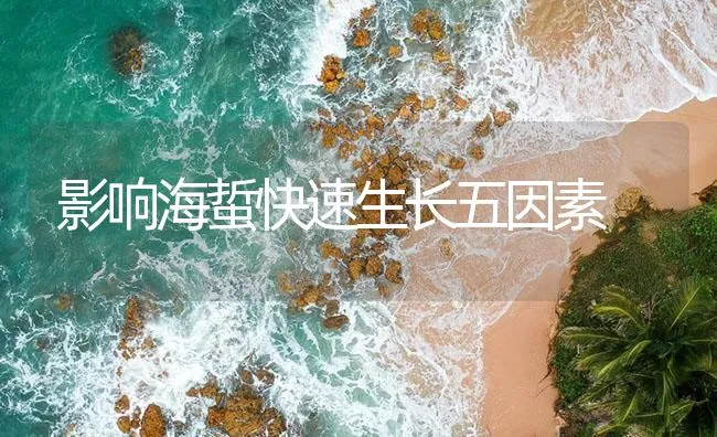 影响海蜇快速生长五因素 | 海水养殖技术