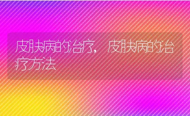 皮肤病的治疗,皮肤病的治疗方法 | 宠物百科知识