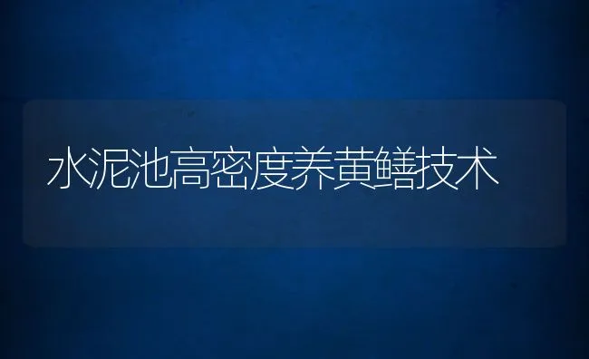 水泥池高密度养黄鳝技术 | 动物养殖饲料