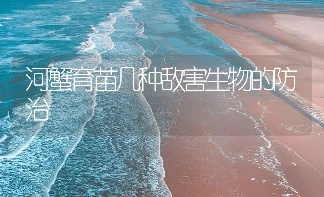 河蟹育苗几种敌害生物的防治 | 海水养殖技术