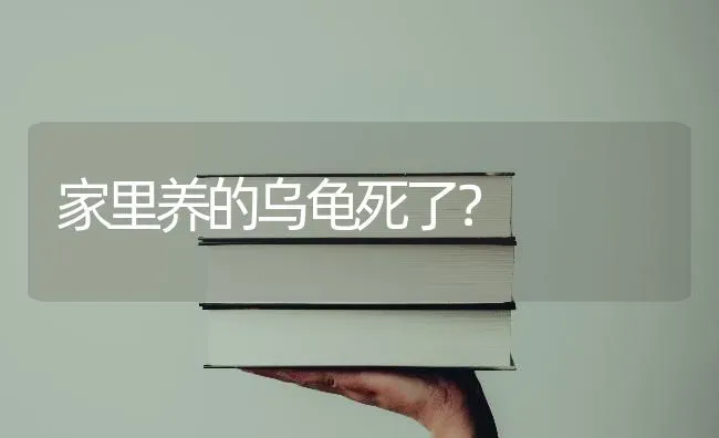 古牧多长时间生一个宝宝？ | 动物养殖问答