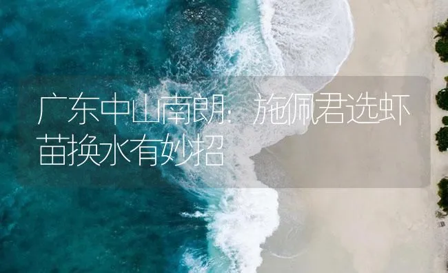 广东中山南朗：施佩君选虾苗换水有妙招 | 海水养殖技术