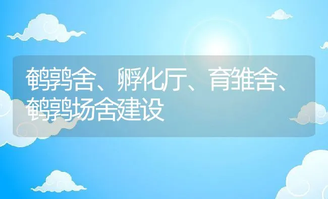 鹌鹑舍、孵化厅、育雏舍、鹌鹑场舍建设 | 动物养殖饲料