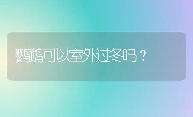 鹦鹉可以室外过冬吗？ | 动物养殖问答