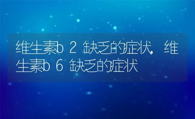 维生素b2缺乏的症状,维生素b6缺乏的症状 | 宠物百科知识