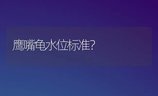 鹰嘴龟水位标准？ | 动物养殖问答