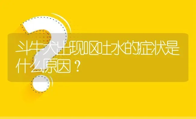 斗牛犬出现呕吐水的症状是什么原因？ | 动物养殖问答