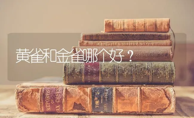 黄雀和金雀哪个好？ | 动物养殖问答