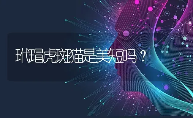 孟加拉豹猫缺点？ | 动物养殖问答