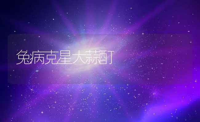 兔病克星大蒜酊 | 动物养殖学堂